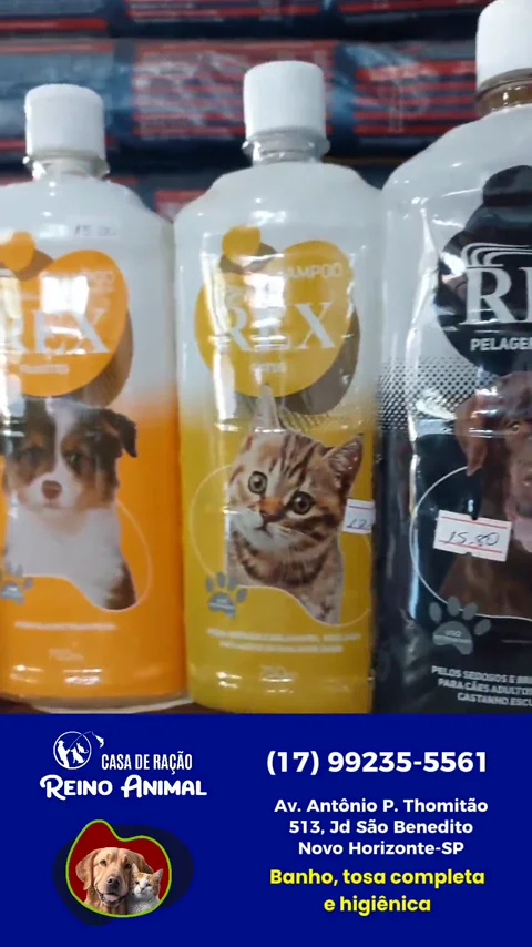 Campanha de Casa da Ração Reino Animal